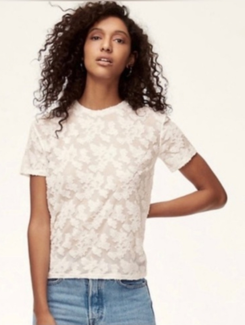 Aritzia Wilfred Short Sleeve Lace Tee in Ivory
